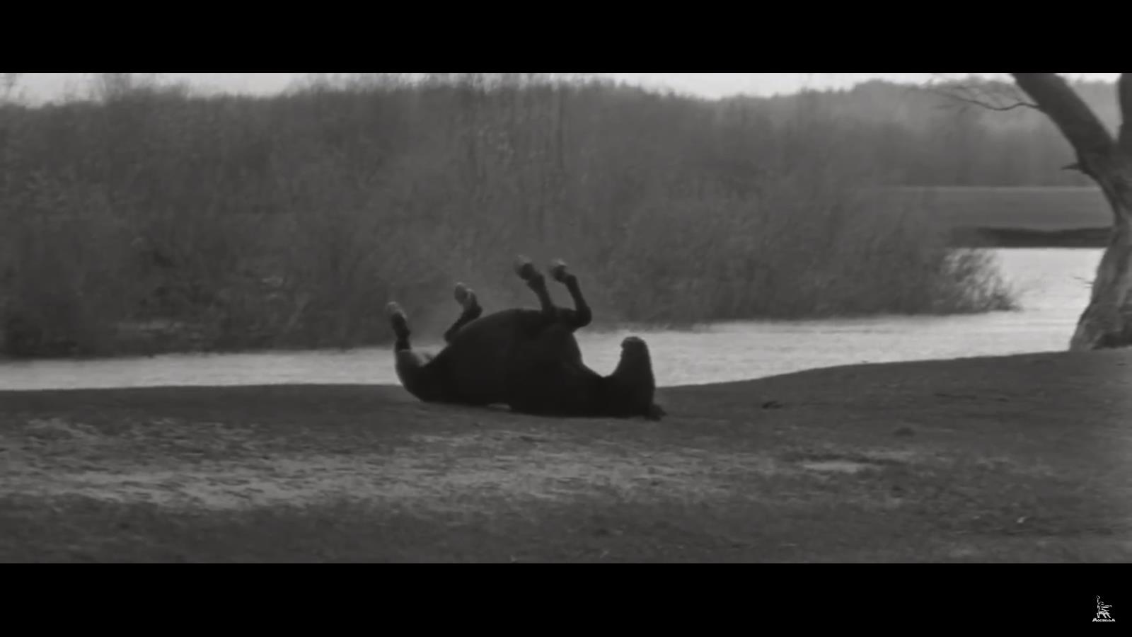 Andrei Rublev Zacarias Marco 7