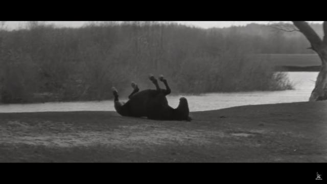 Andrei Rublev Zacarias Marco 7